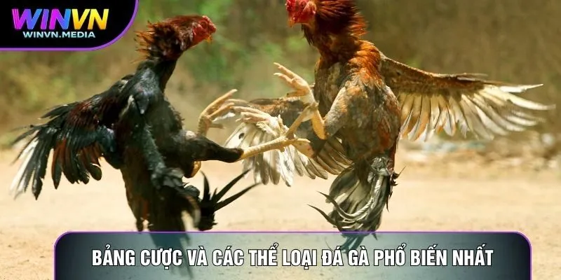 Bảng cược và các thể loại đá gà phổ biến nhất